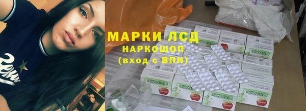 spice Верея