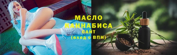 гидра Вяземский