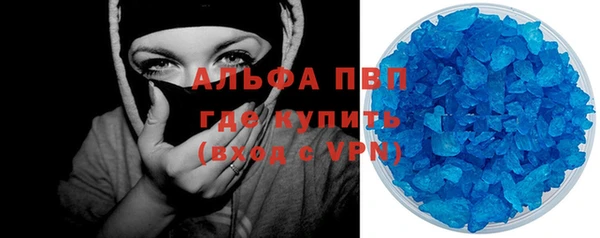 spice Верея