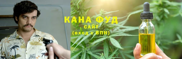 гидра Вяземский