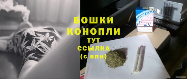 spice Верея