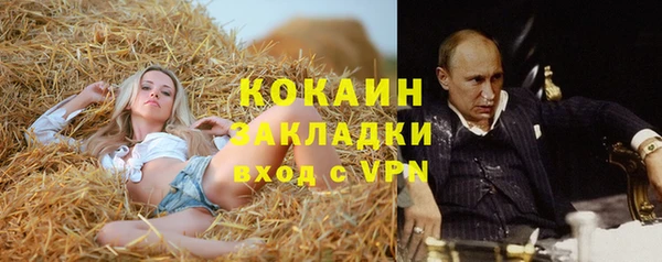 прущие грибы Володарск